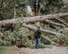A man stands in the woods next to a large fallen tree, holding a cell phone to his ear